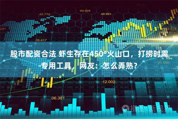 股市配资合法 虾生存在450°火山口，打捞时需专用工具，网友：怎么弄熟？